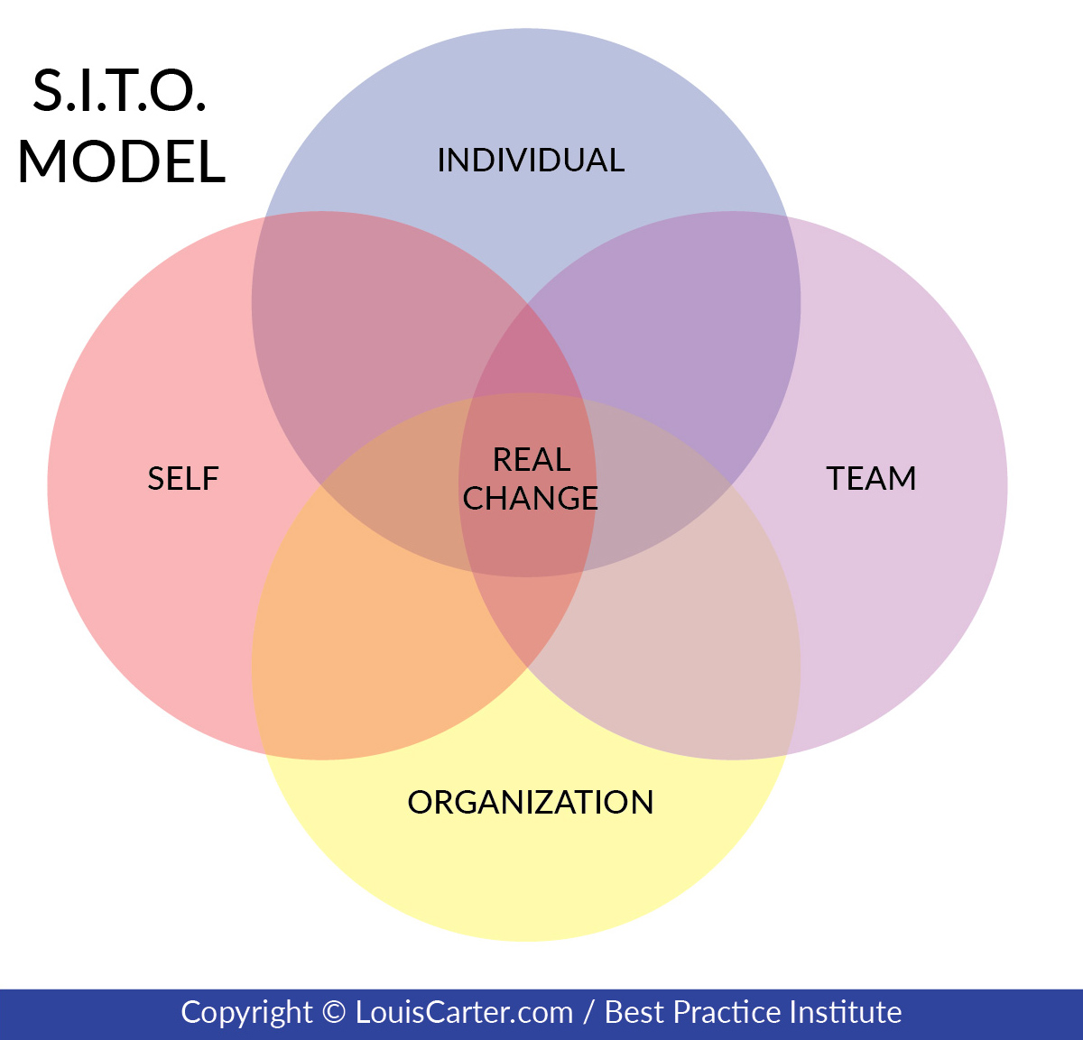 SITO Model.
Change Efforts
